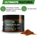 premium-quality-costus-igneus-insulin-pl-4.jpg