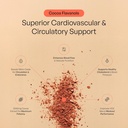 nutriissa-cocoa-capsules-2000mg---advanc-4.jpg
