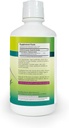 betel-natural-gel-de-sabila-aloe-vera-ge-2.jpg