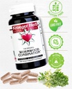 kroeger-herb-wormwood-combination-vegeta-3.jpg