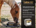 kalmbach-feeds-grass-assist-mineral-and--3.jpg