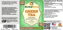 herbal-terra-llc-green-tea-camellia-sine-2.jpg