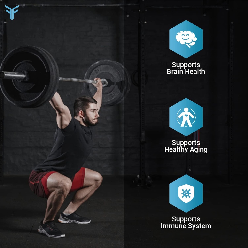 fit-focused-spermidine-wheat-germ-extrac-3.jpg