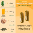 healblend-10-in-1-immune-support-supplem-4.jpg