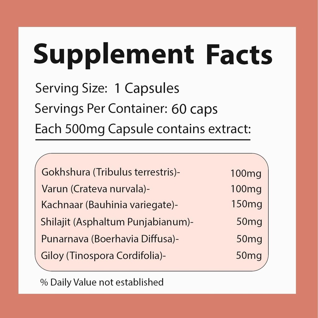 prostocalm-ayurvedic-supplement-for-pros-3.jpg