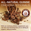 sirunes-quinine-tincture-extract-quinine-4.jpg