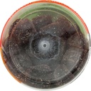 vitafusion-super-immune-support-gummy-vi-3.jpg