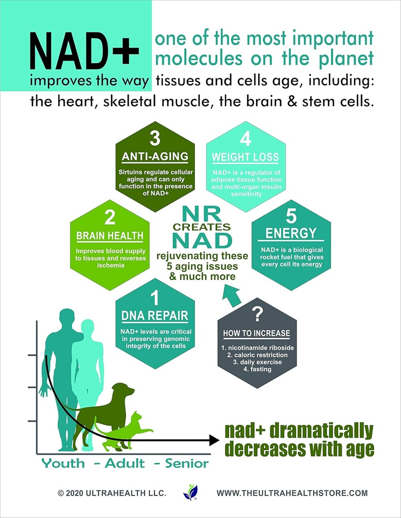 30-day-supply-nicotinamide-riboside-nr-3-5.jpg
