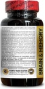 brain-memory-supplements---memory-recall-2.jpg