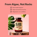 algae-calcium-vegan-d3-k2-vitamin-b-comp-3.jpg