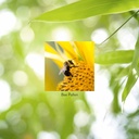 natures-sunshine-bee-pollen-100-capsules-5.jpg