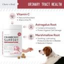 digestive-enzymes-and-probiotics-and-cra-3.jpg