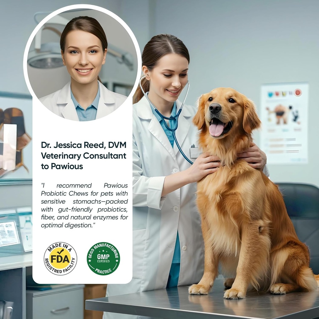 probiotics-for-dogs---digestive-enzymes--4.jpg