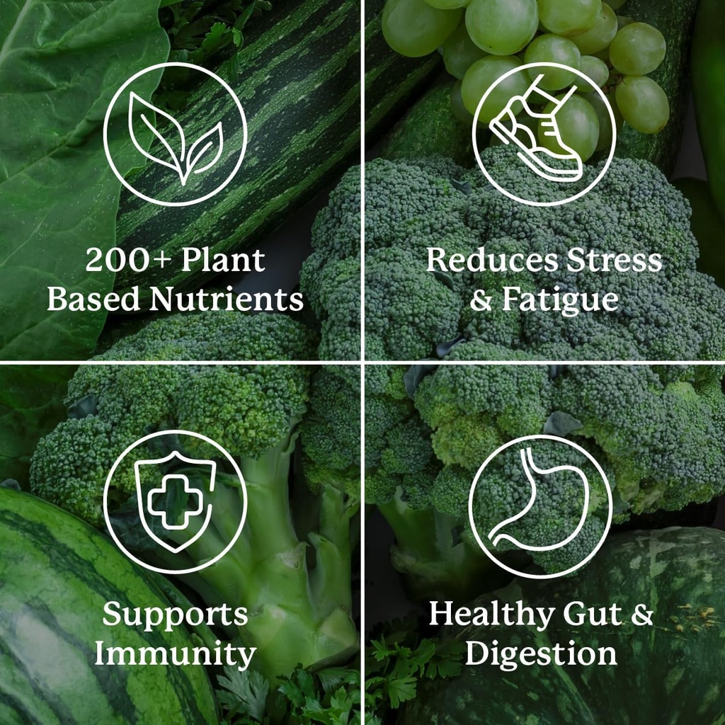 natures-sunshine-power-greens---wholefoo-5.jpg