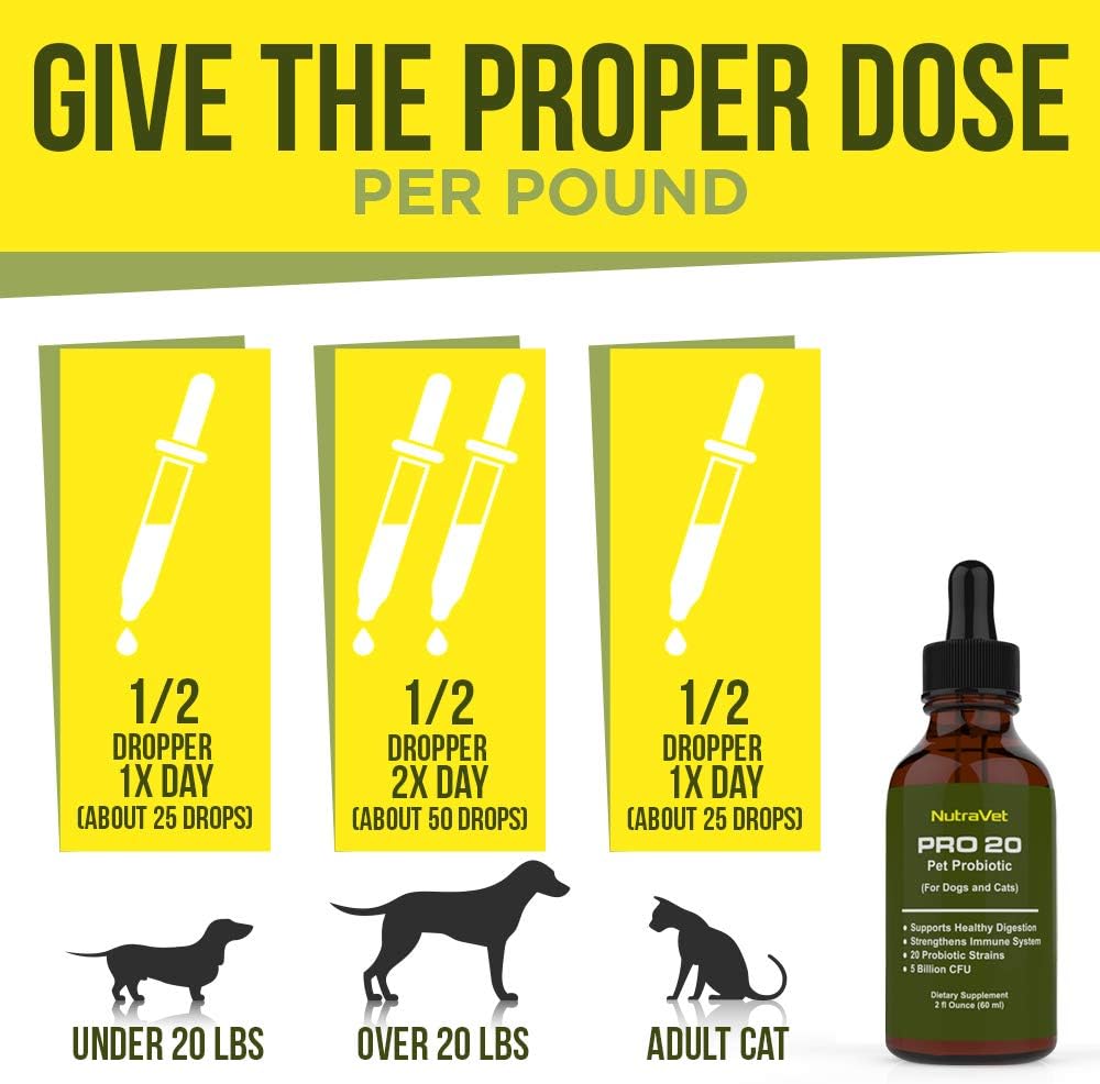 probiotics-for-dogs-and-cat-probiotics---4.jpg