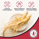dairyland-american-ginseng-tea-bags-美国人参-3.jpg