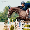 equithrive-horse-electrolyte-pellets-vit-5.jpg