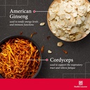 health-concerns-cordyseng-immune-system--3.jpg