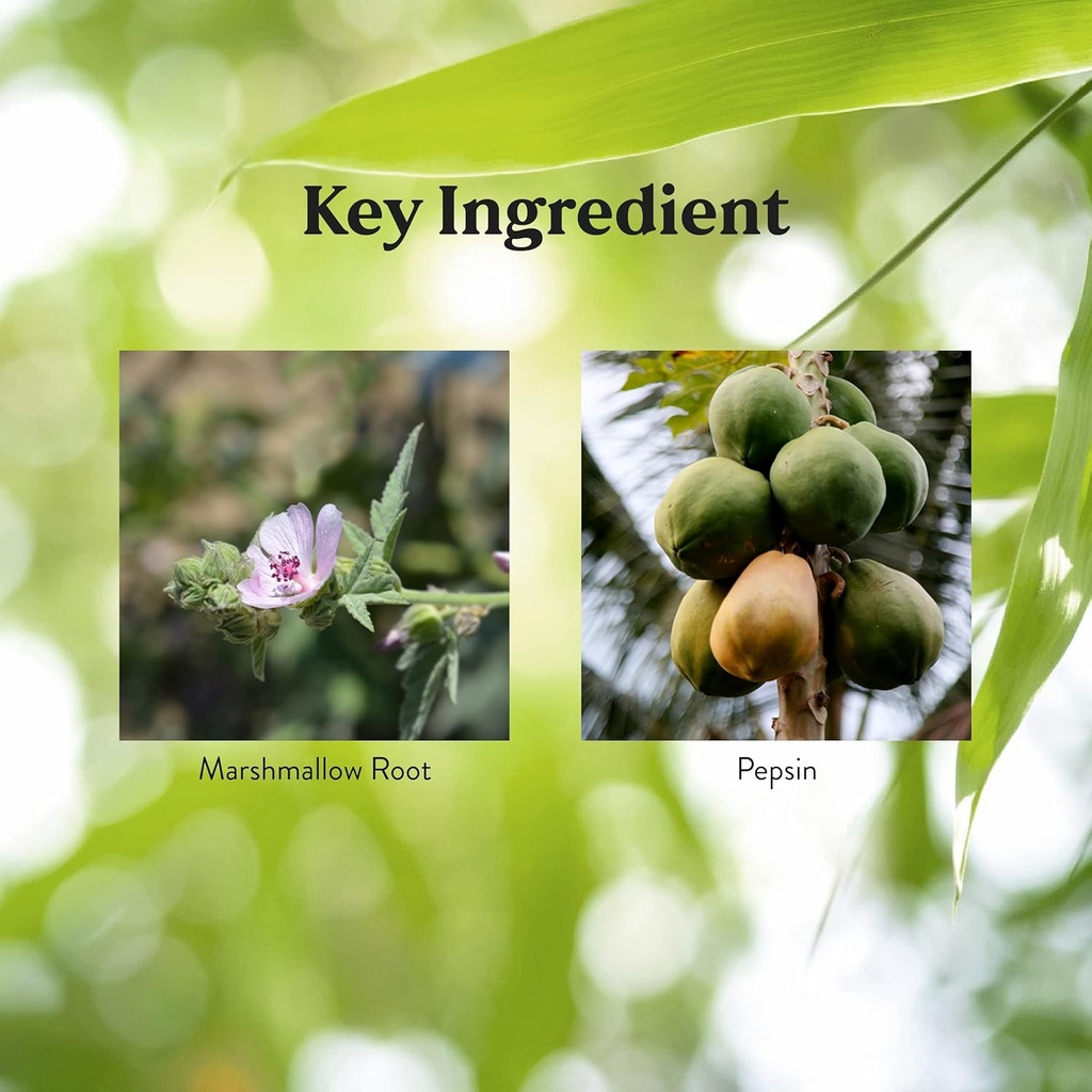 natures-sunshine-small-intestine-detox-1-5.jpg