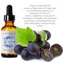 laritelle-organic-hormonal-balance-thyro-3.jpg