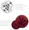 bio-therapeutic-decongest---gentle-formu-4.jpg