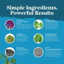 calming-gummies-for-adults-with-ashwagan-6.jpg