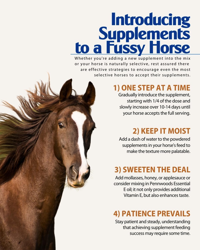 pennwoods-joint-gi-advanced-horse-supple-5.jpg