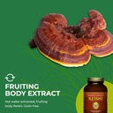 healthforce-superfoods-integrity-extract-6.jpg