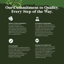 pure-green-coffee-bean-extract-supplemen-5.jpg