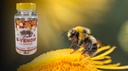 b---venom-bee-venom-with-glucosamine-sul-3.jpg