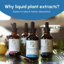 organic-clarity-tincture---brain-tinctur-4.jpg
