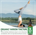 yarrow-herb-tincture-organic-yarrow-extr-3.jpg