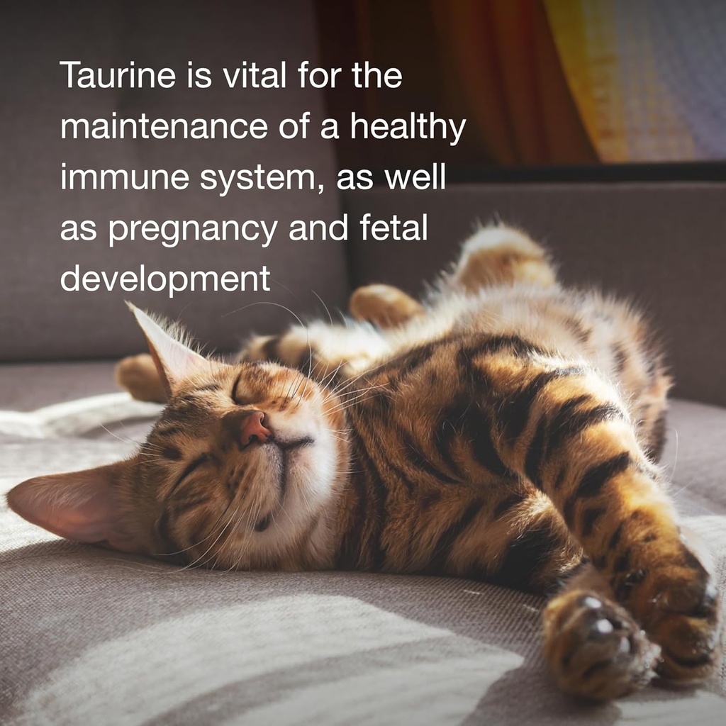 petag-taurine-tablets-for-cats---100-tab-5.jpg