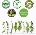 rejuvenation-therapeutics-pure-organic-g-4.jpg