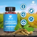 ashwagandha-gummies-for-men-women---ashw-4.jpg