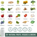 substance---natures-sustenance-daily-gre-2.jpg