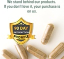 substance---natures-sustenance-daily-gre-6.jpg