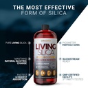 orgono-living-silica-sports-recovery-veg-4.jpg