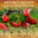 herbalicious-berberine-supplement-100-ca-5.jpg
