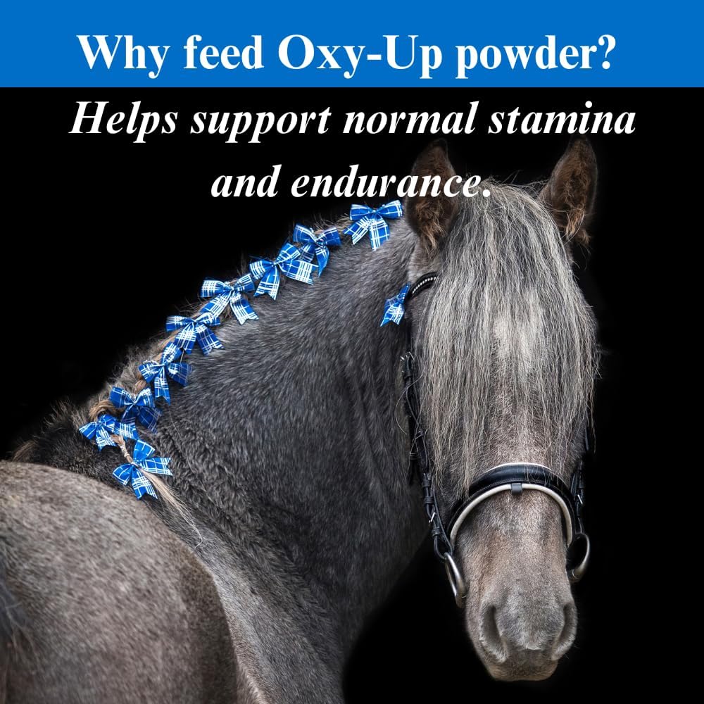 su-per-oxy-up-performance-horse-suppleme-4.jpg