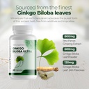 ginkgo-biloba-and-ginseng-brain-dietary--2.jpg