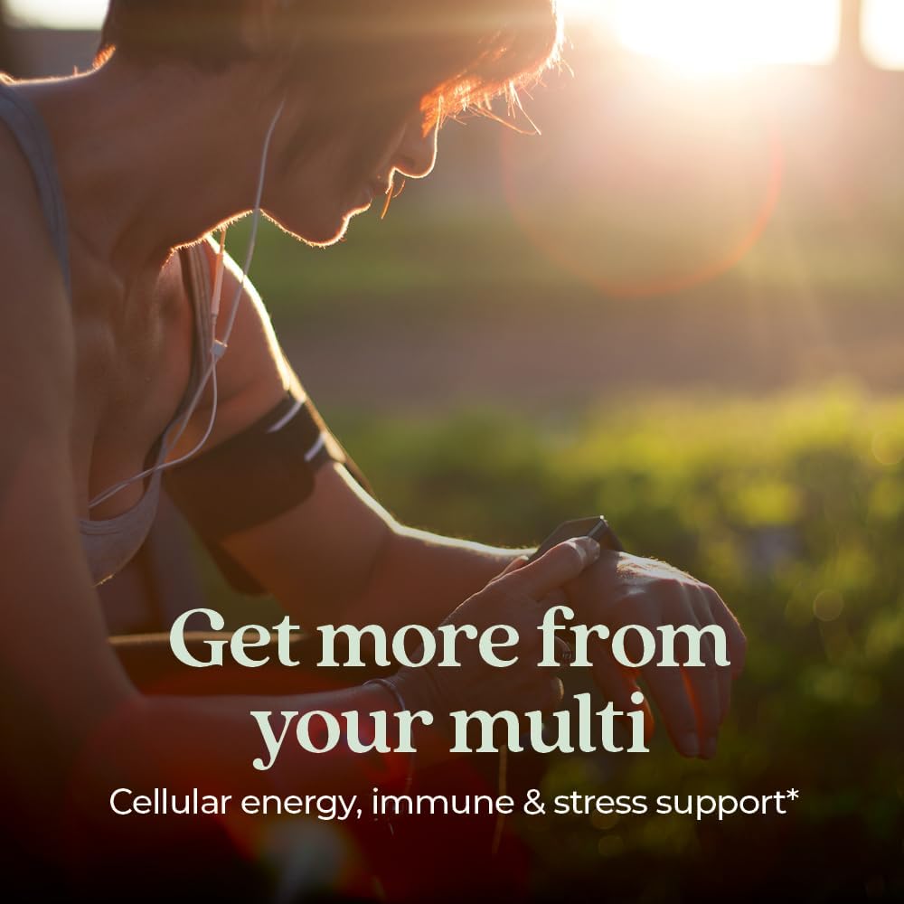 new-chapter-one-daily-multivitamin-for-i-2.jpg