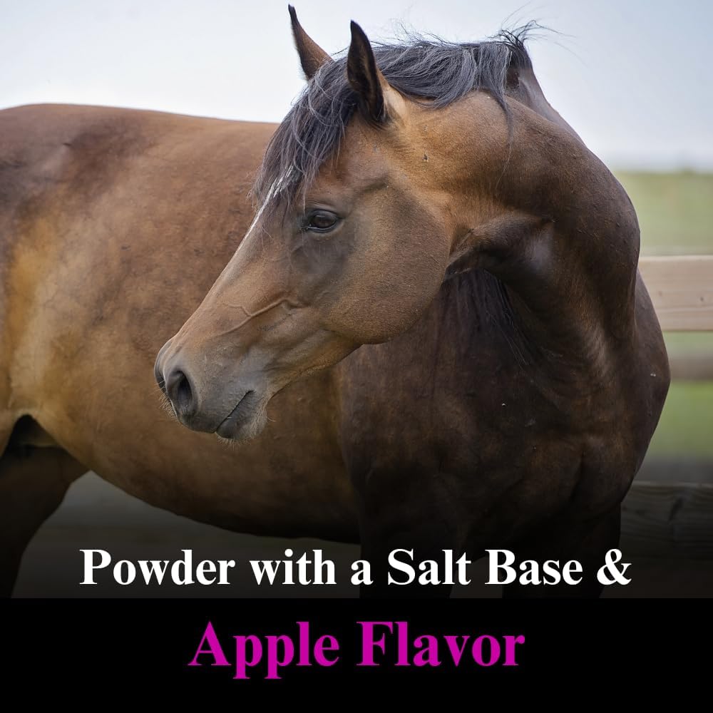 su-per-lyte-horse-electrolyte-supplement-3.jpg