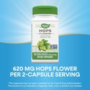 natures-way-hops-flowers---traditional-c-4.jpg
