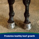 farnam-horseshoers-secret-pelleted-hoof--4.jpg