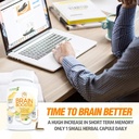 brain-booster-natural-nootropics-supplem-6.jpg