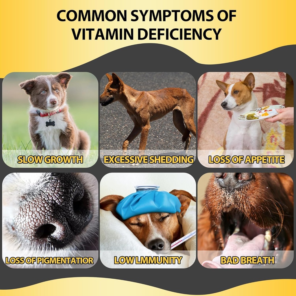 dog-multivitamin-liquid-13-in-1-dog-vita-3.jpg