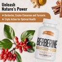 sirunes-berberine-supplement-berberine-h-2.jpg
