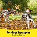 vetzyme-dog-b-e-200-tablets-4.jpg