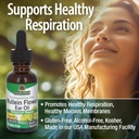 natures-answer-alcohol-free-mullein-flow-3.jpg